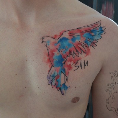 Tatuaj watercolor, Tatuaje bucuresti, tatuaje, tatuaje baieti, tatuaj piept, tattoo